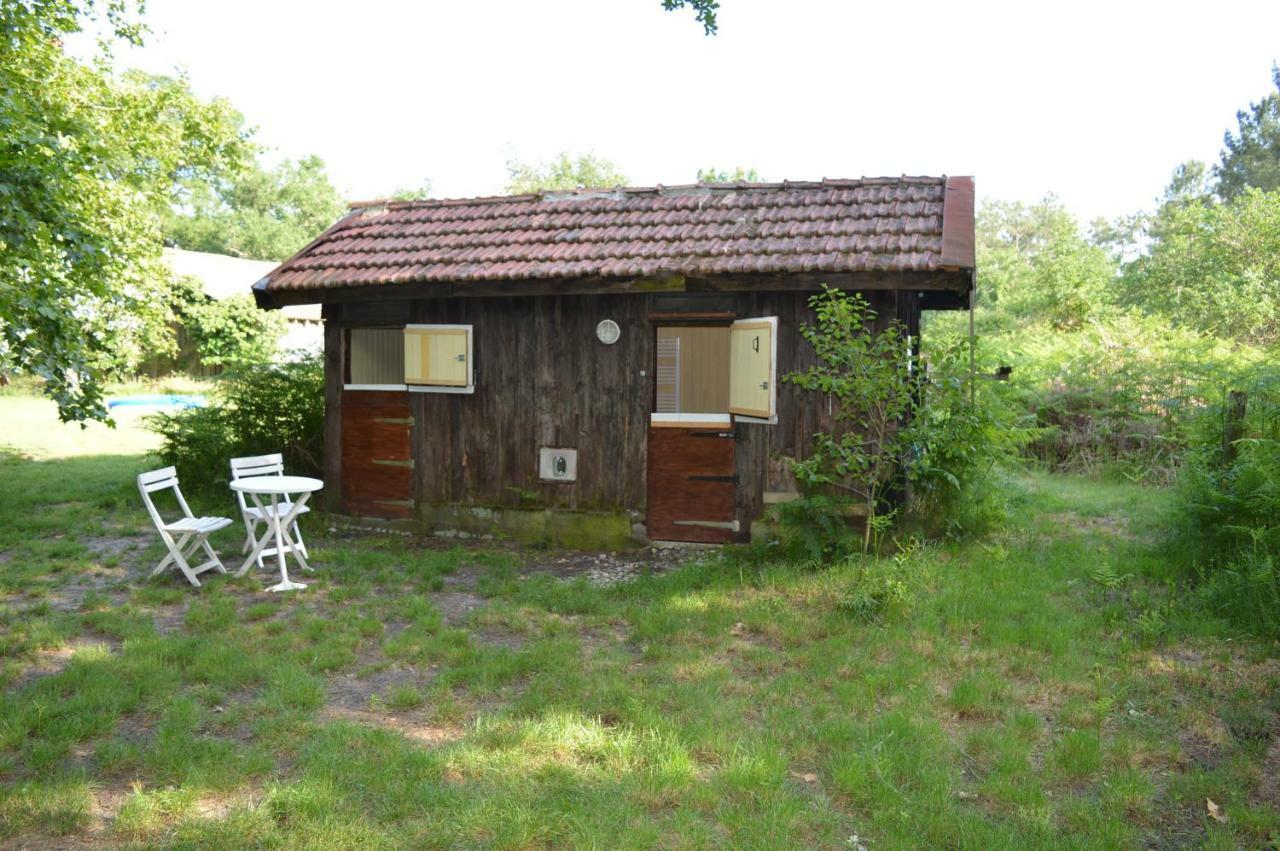 Cabane En Foret Onesse-et-Laharie Экстерьер фото
