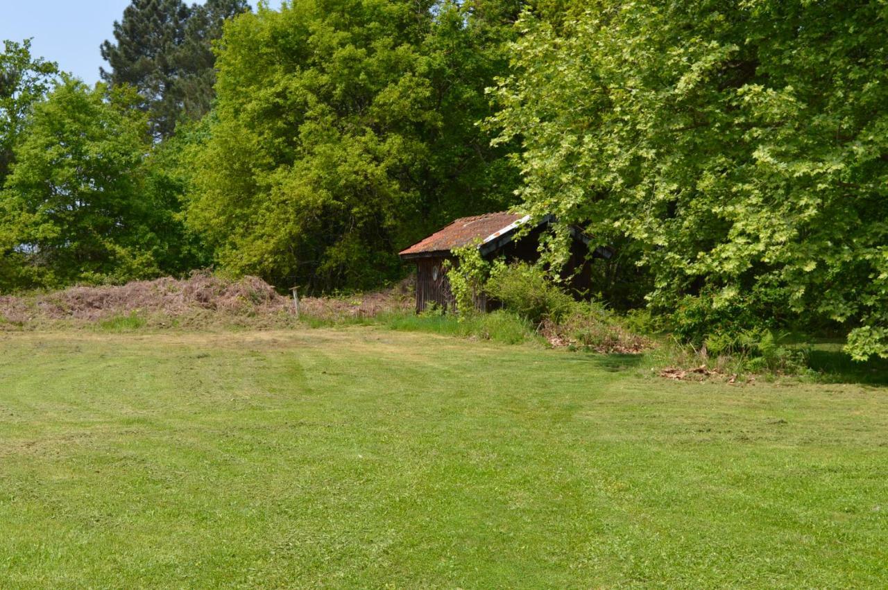 Cabane En Foret Onesse-et-Laharie Экстерьер фото