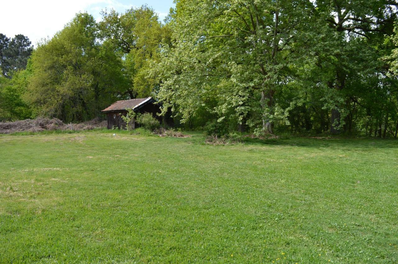 Cabane En Foret Onesse-et-Laharie Экстерьер фото